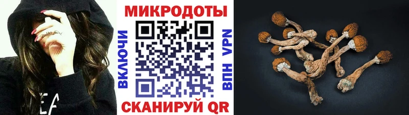 Купить где  Голицыно  Галлюциногенные грибы GOLDEN TEACHER 